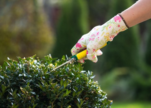 Stylish garden landscaping in Manor Park with patio and planting