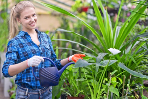Gardeners in Manor Park maintaining a neat and healthy garden