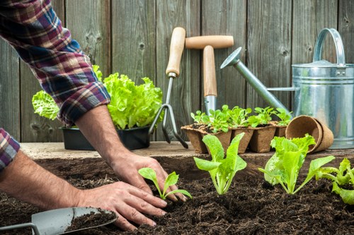 Healthy green lawn care in Manor Park during spring maintenance