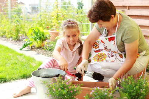 Professional garden maintenance values in Manor Park