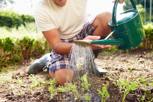Professional gardener shaping shrubs in Manor Park