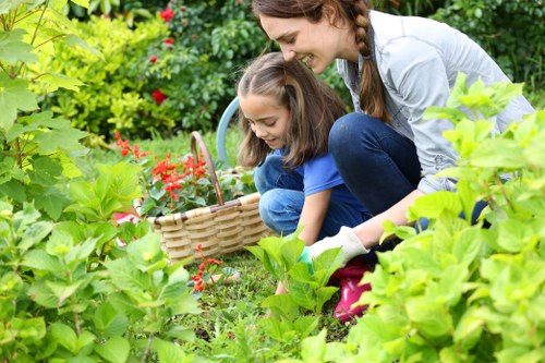 Closeboard fencing options for Manor Park gardens