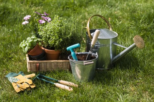 Manor Park garden clearance service removing clutter and debris