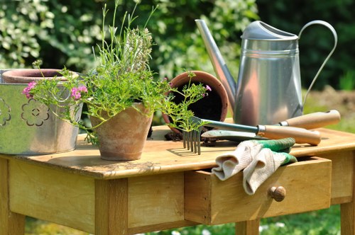 Seasonal garden maintenance in Manor Park with tidy borders