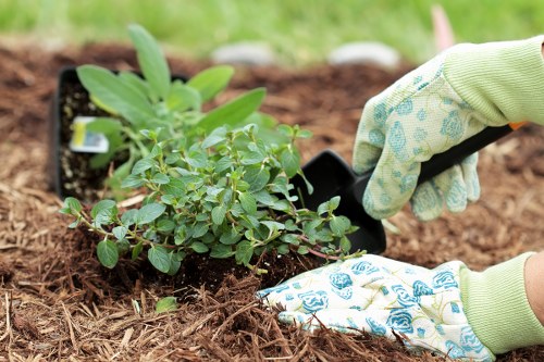 Free quote policy for local gardening services