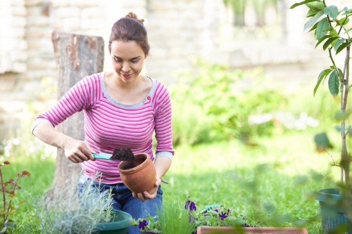 Seasonal lawn maintenance and mowing in Manor Park