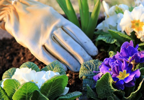 Seasonal garden care and landscaping in Manor Park