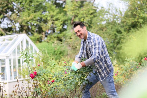 Low-maintenance landscaping design for a Manor Park property