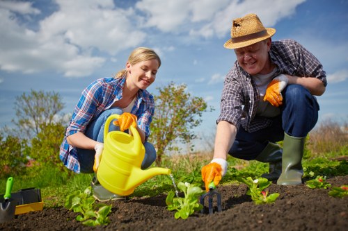 Professional lawn mowing and maintenance in Manor Park garden
