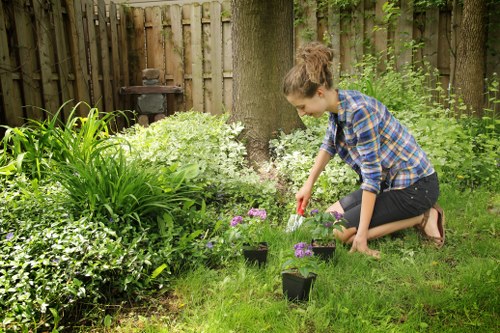 Professional patio washing process in Manor Park