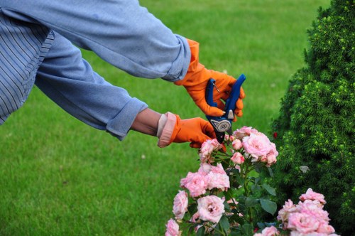 Transparent garden quote process for Manor Park properties