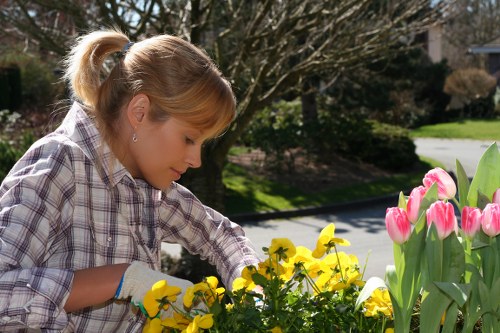 Final section of garden service terms with a professional outdoor setting