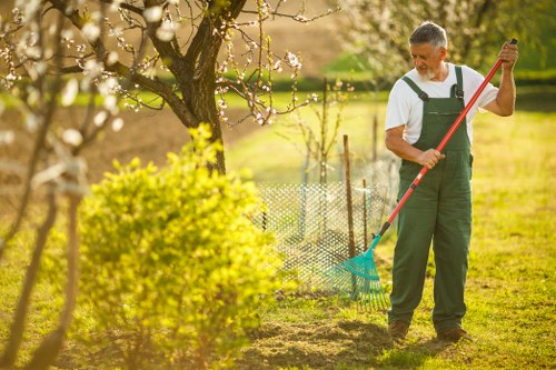 Seasonal hedge trimming and plant care for a tidy garden