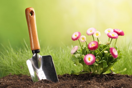 Local lawn mowing in Manor Park with clean garden edging