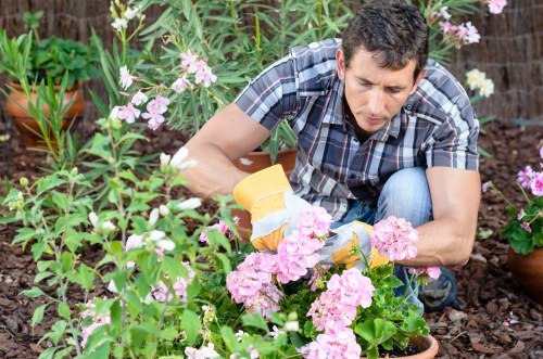 Marketing cookie usage for relevant content on Gardeners Manor Park