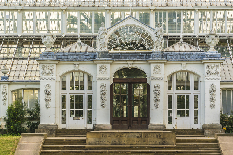 flower borders Garden