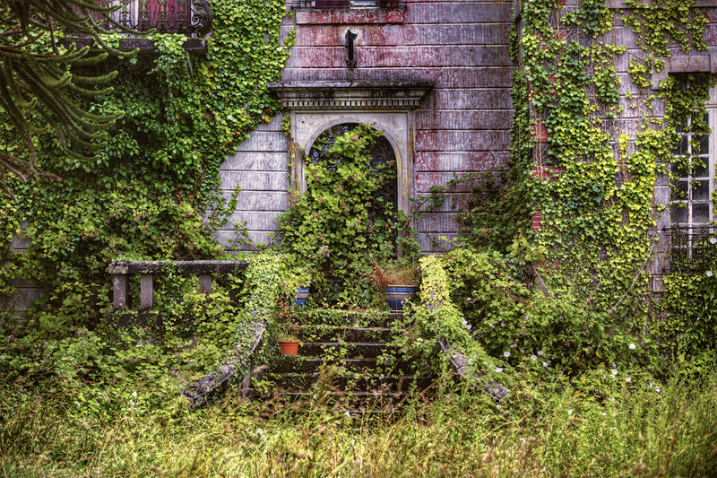 garden maintenance garden design